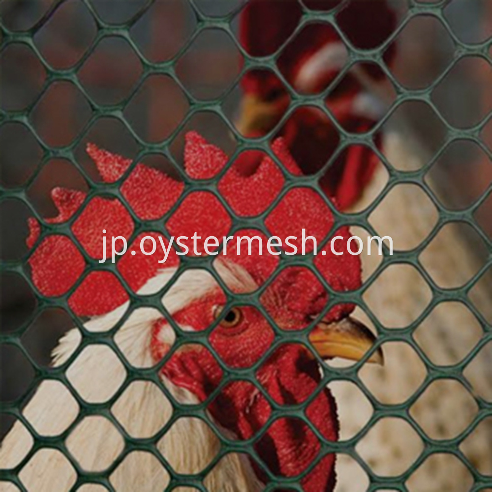 Chicken Wire Fence